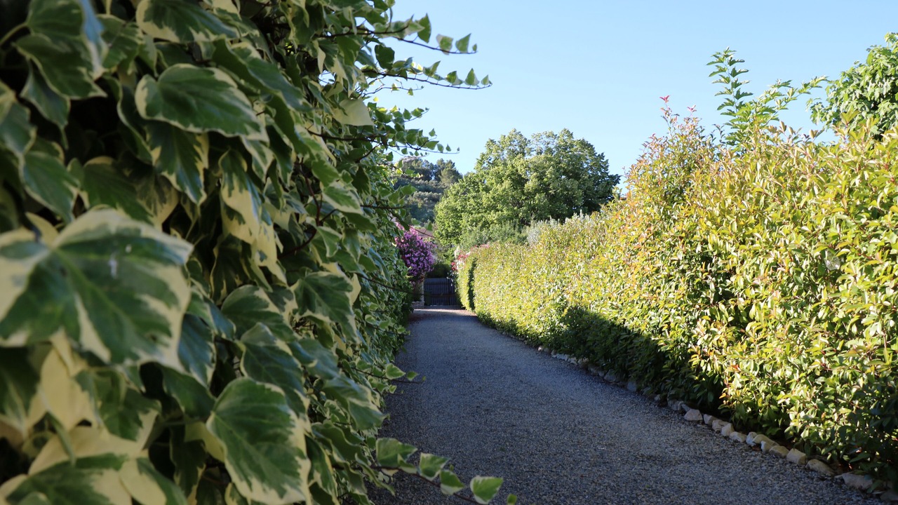 Photo of Outdoor in Calvisson