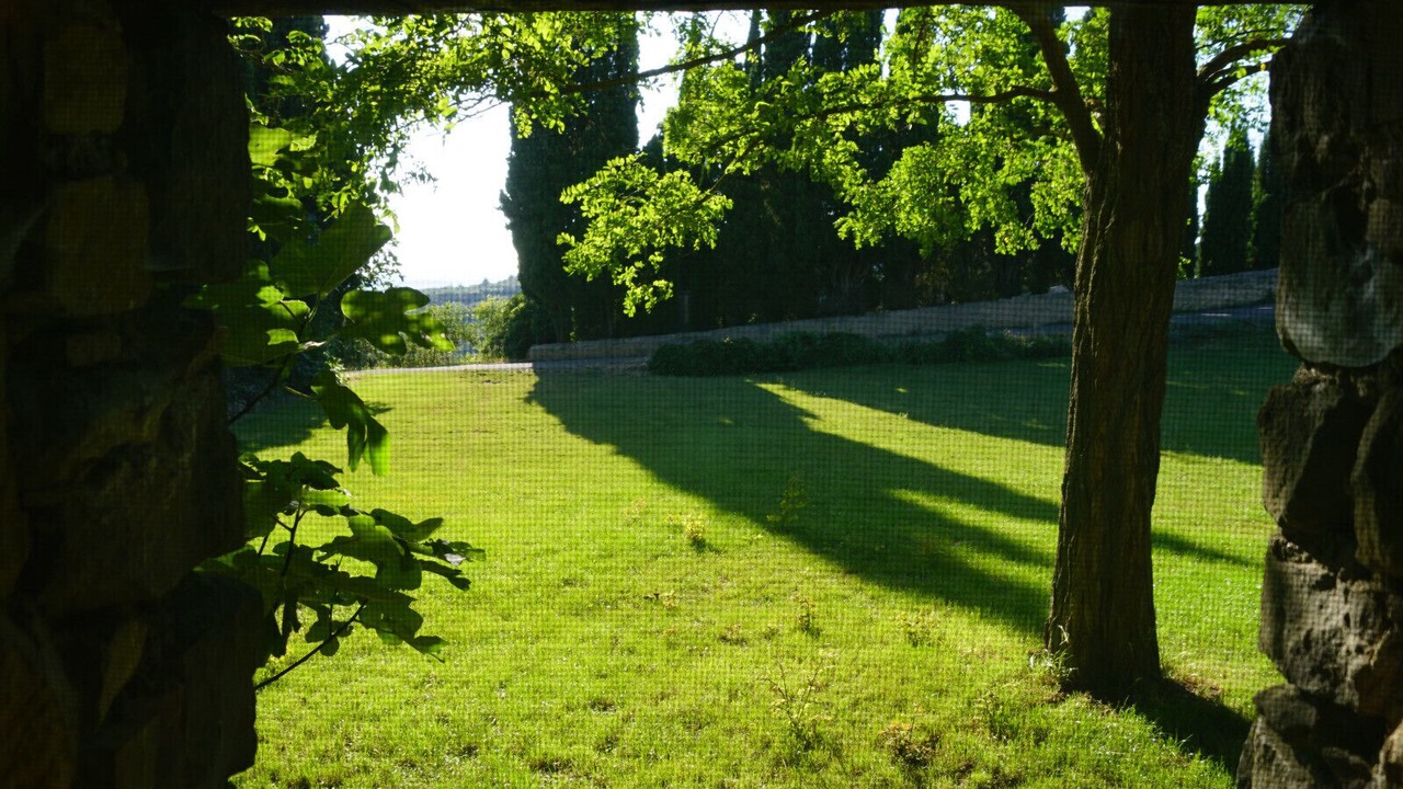 Photo of Outdoor in Cassaignes