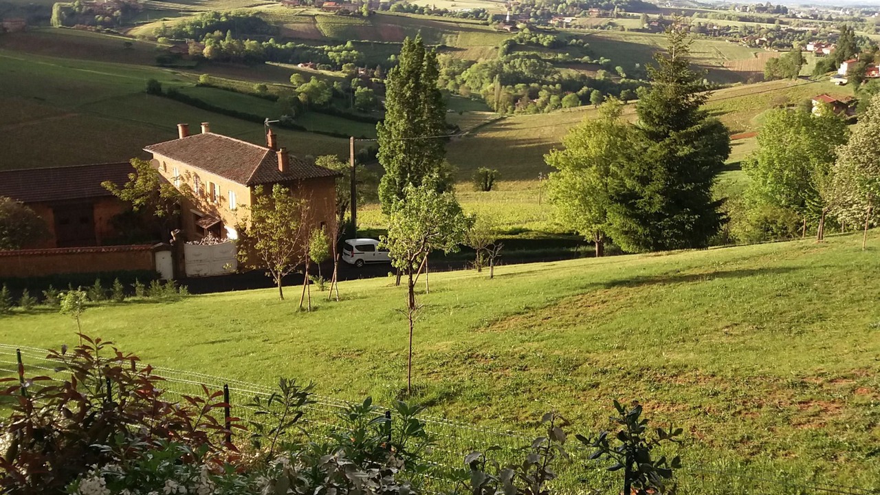 Photo of Outdoor in Theize