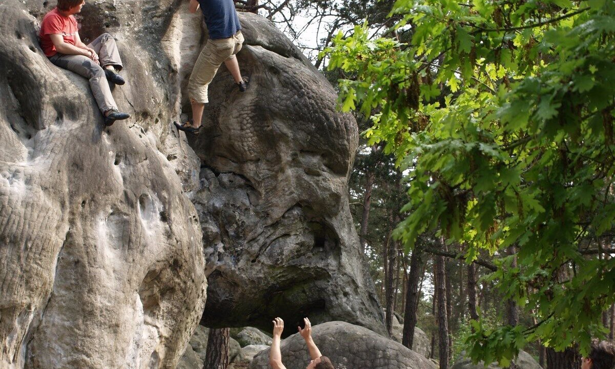 Photo of Others in Larchant