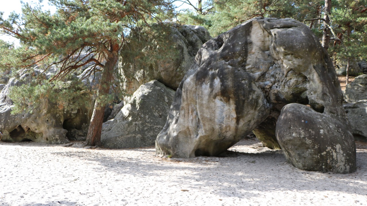 Photo of Others in Larchant