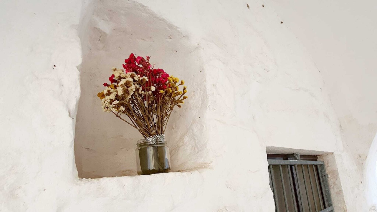 Photo of Others in Old Town Cisternino
