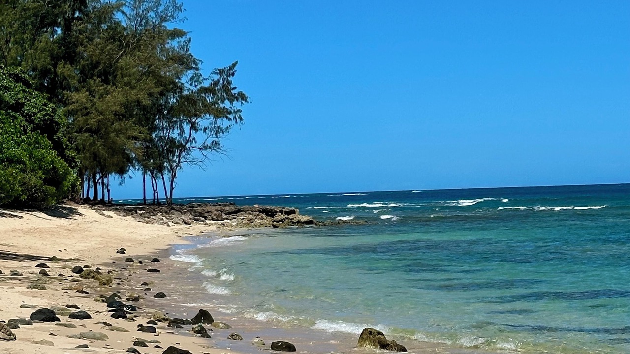 Photo of Others in Pupukea