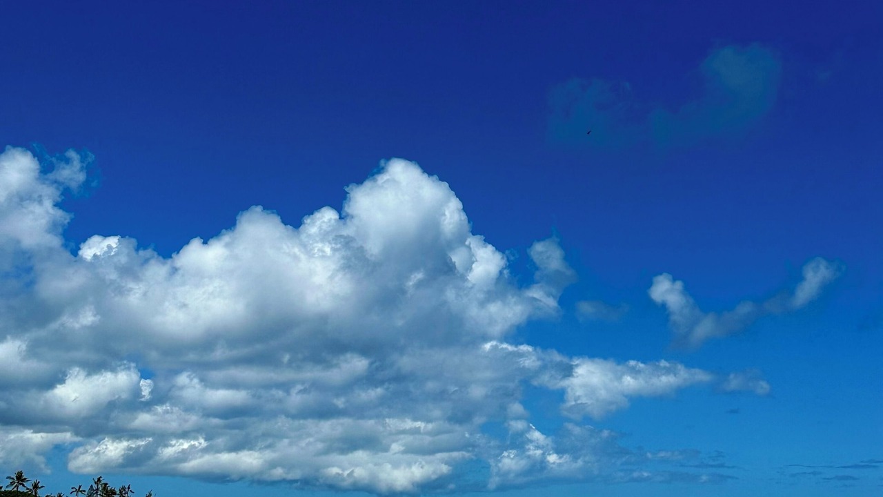 Photo of Others in Pupukea