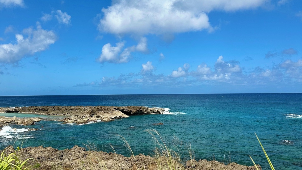 Photo of Others in Pupukea