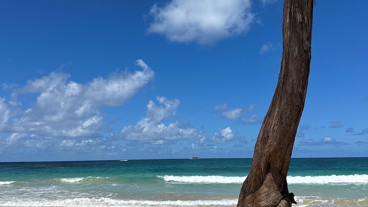 Photo of Others in Pupukea