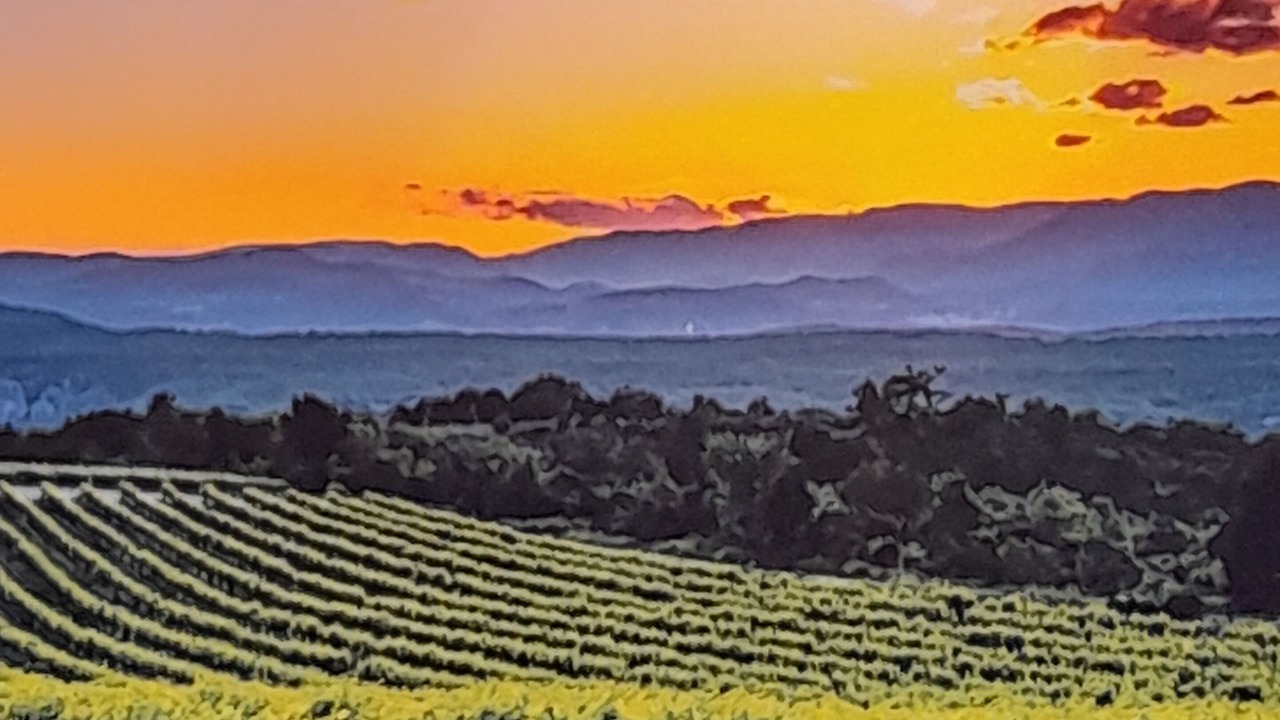 Photo of Outdoor in Calvisson