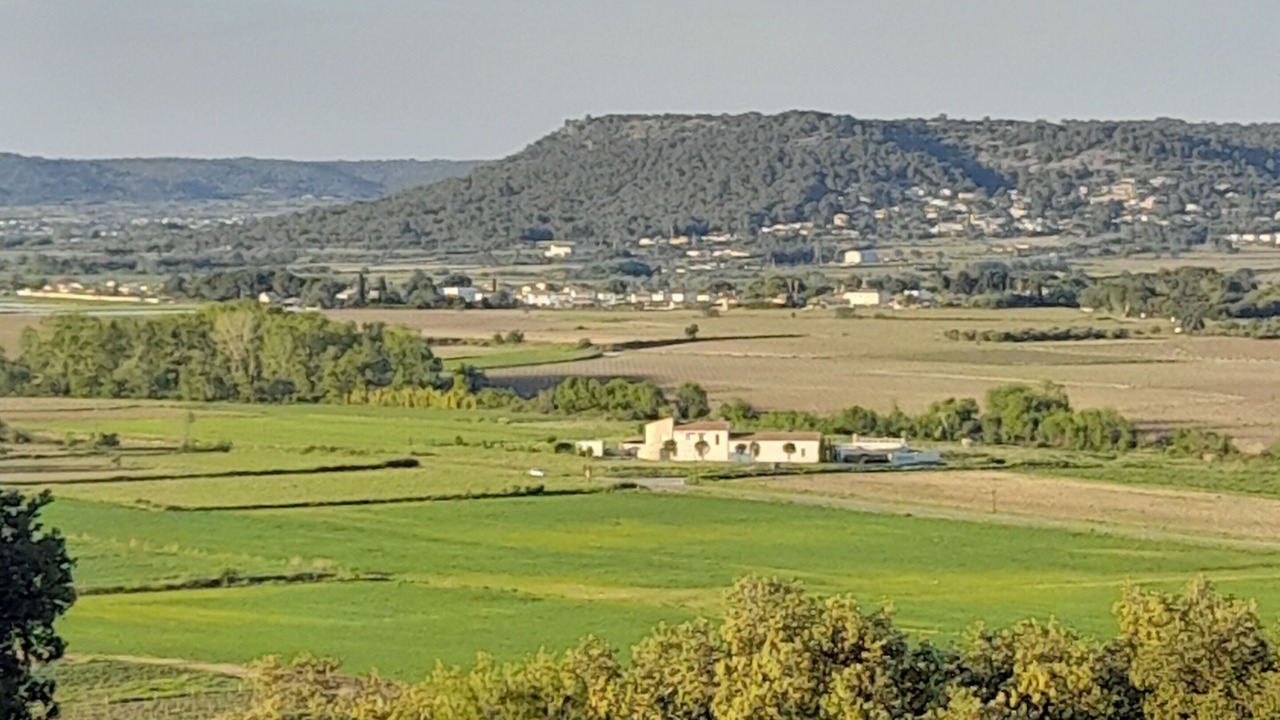 Photo of Others in Calvisson