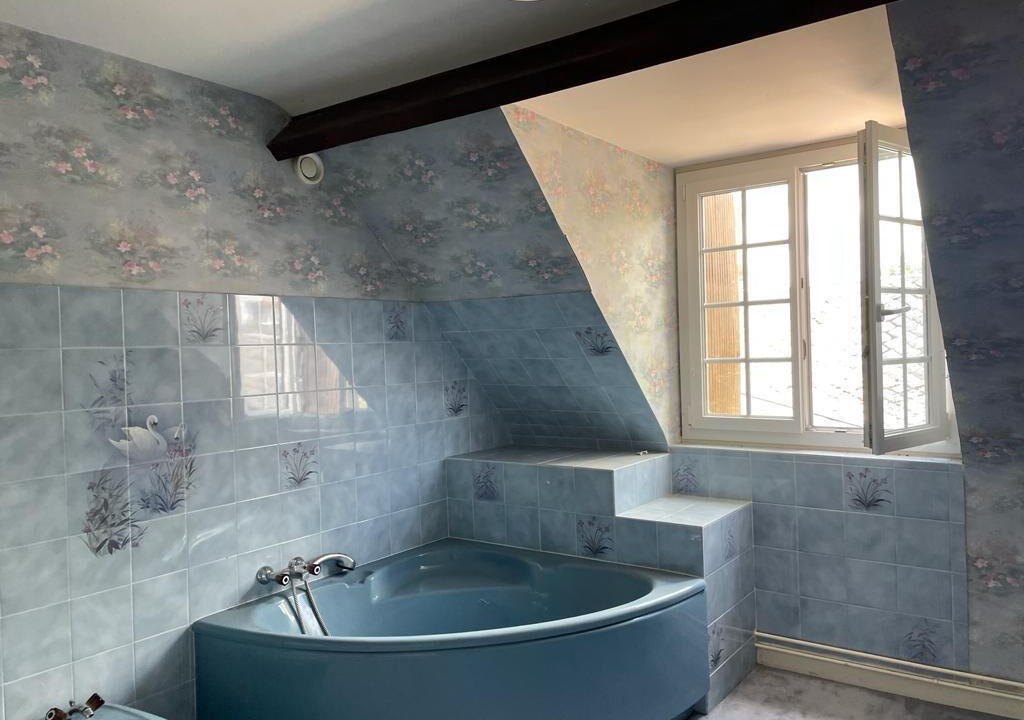 Photo of Bathroom in Huisseau-sur-Mauves