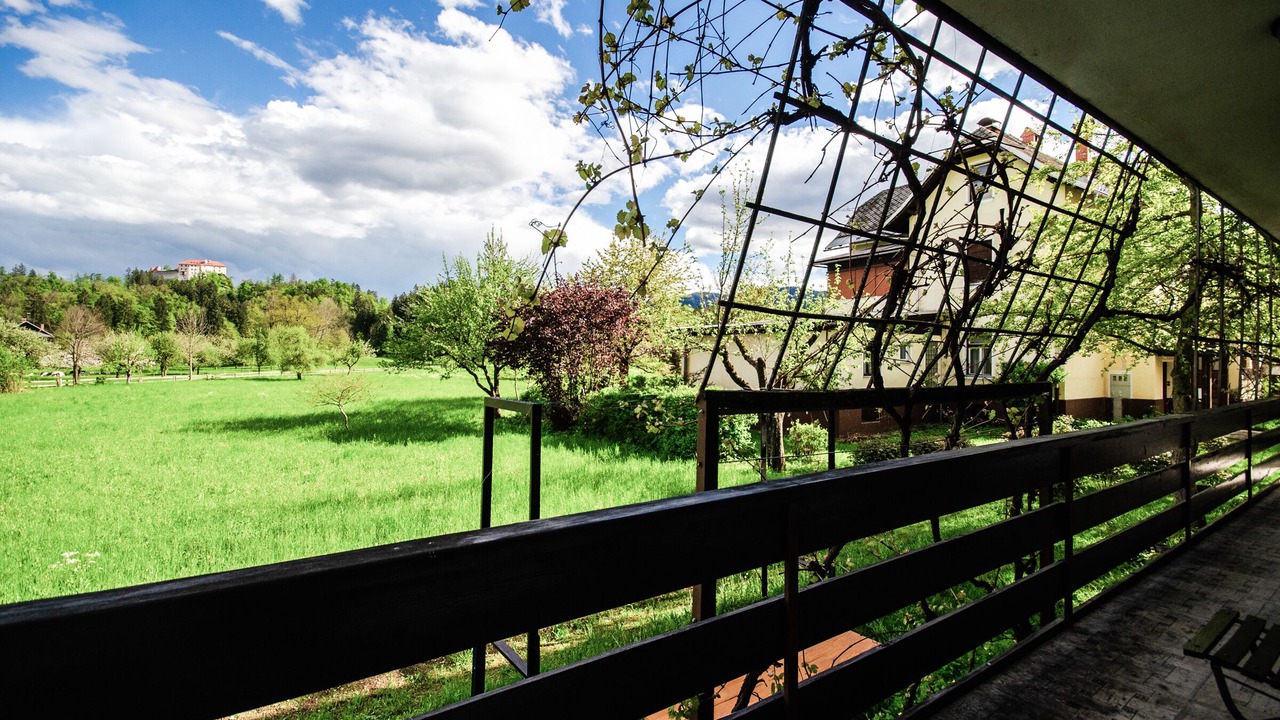 Photo of Outdoor in Bled