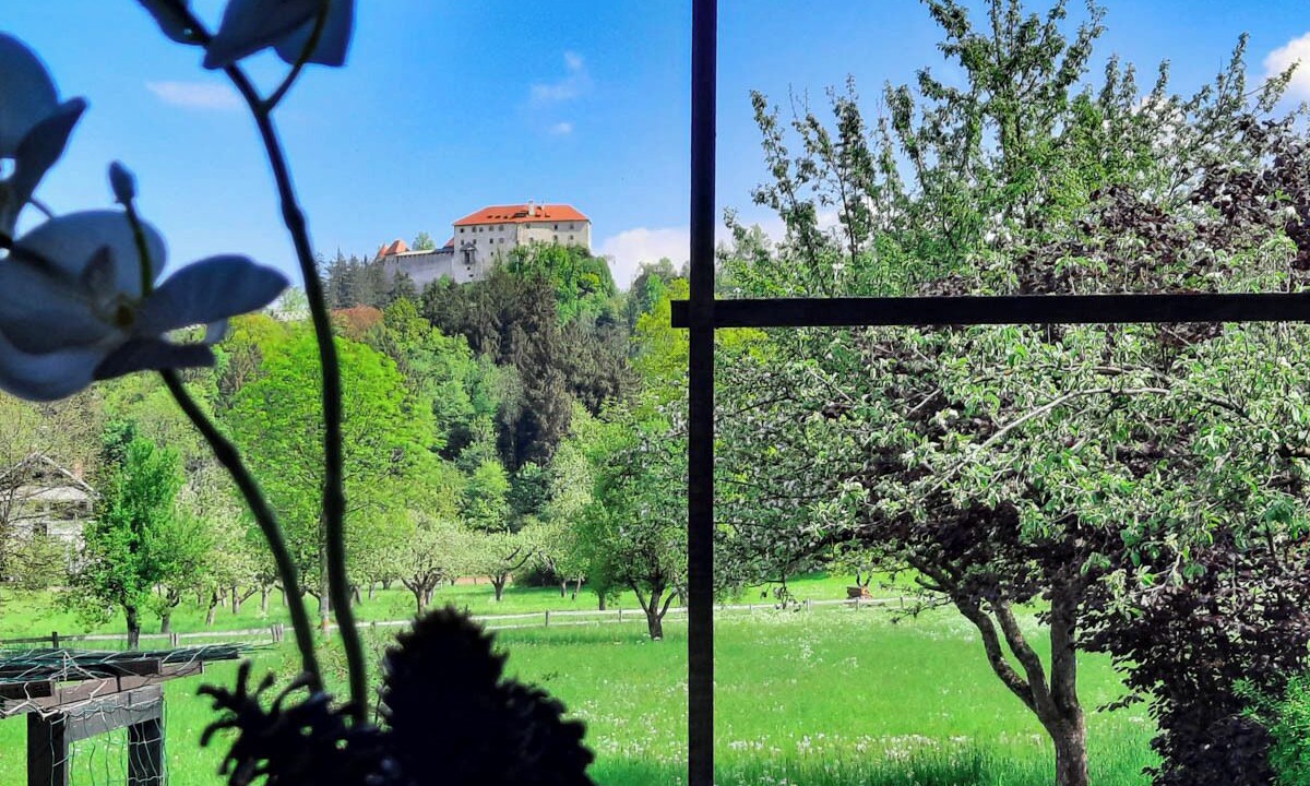 Photo of Others in Bled