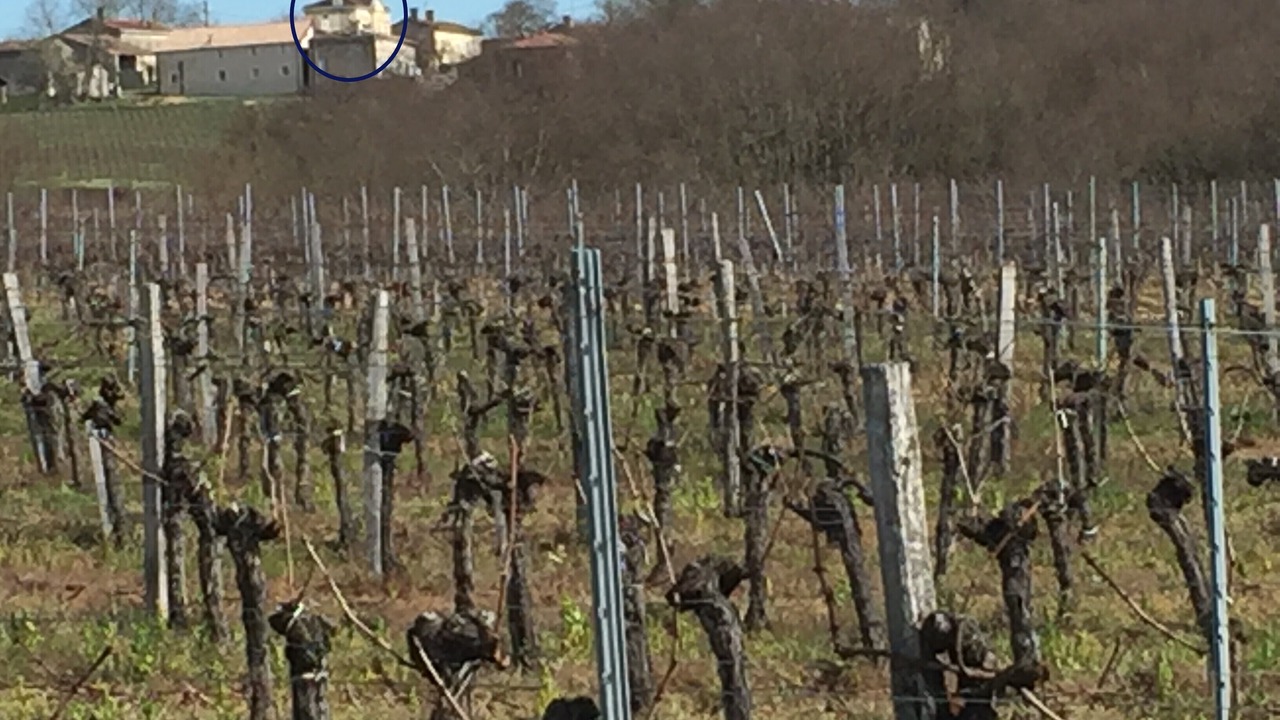Photo of Others in Saint-Vivien-de-Blaye
