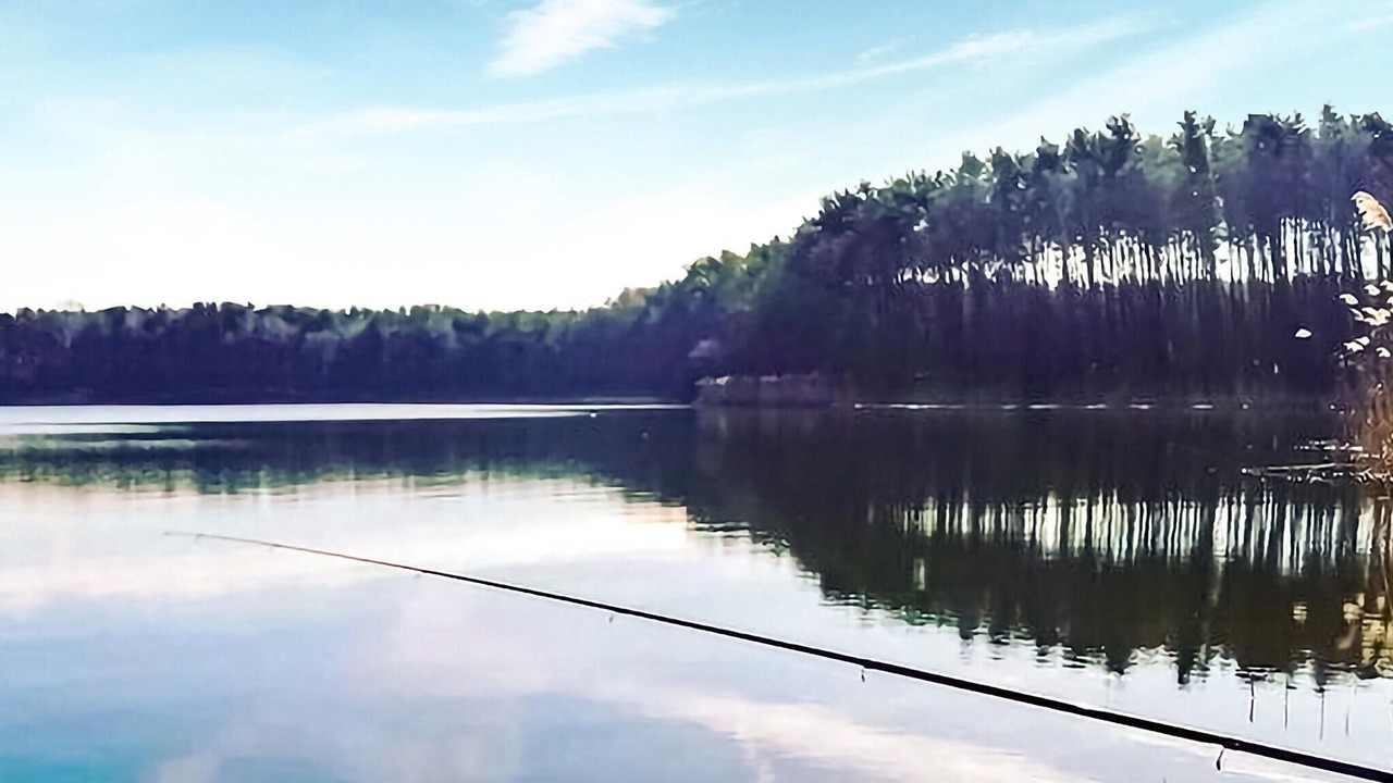 Photo of Others in Wolsztyn