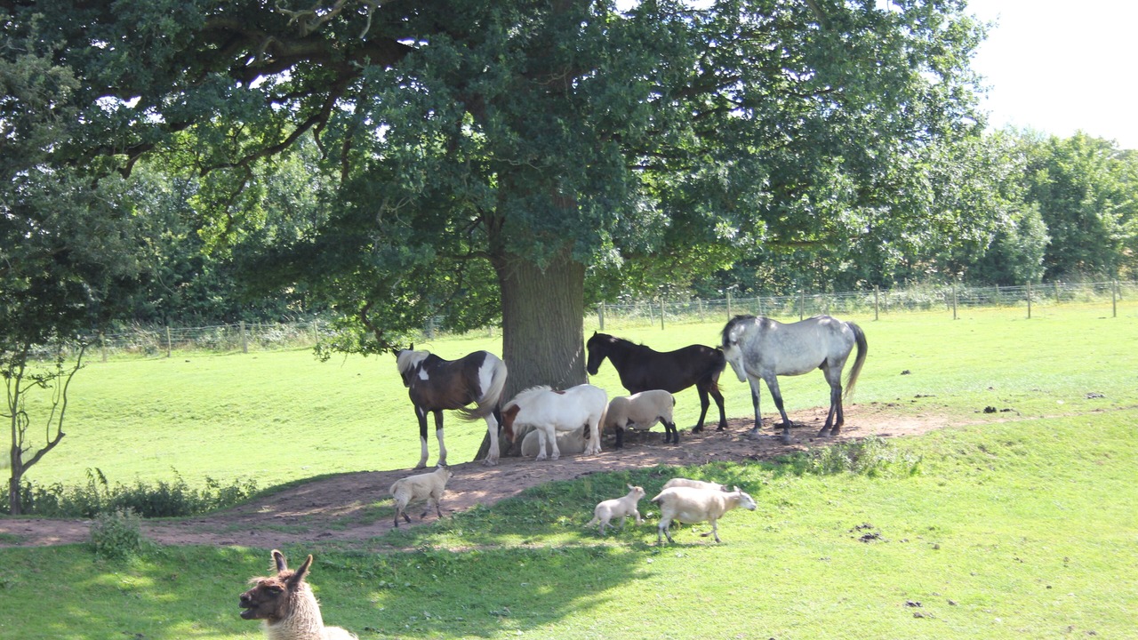 Photo of Others in Stourbridge