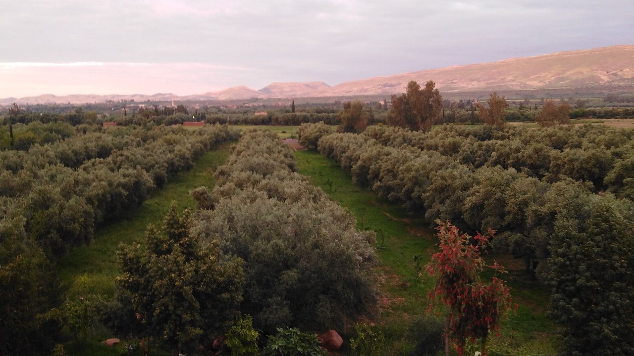 Photo of Outdoor in Aghmat