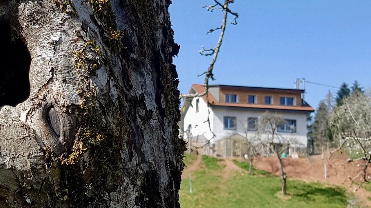 Photo of Outdoor in Ronchamp