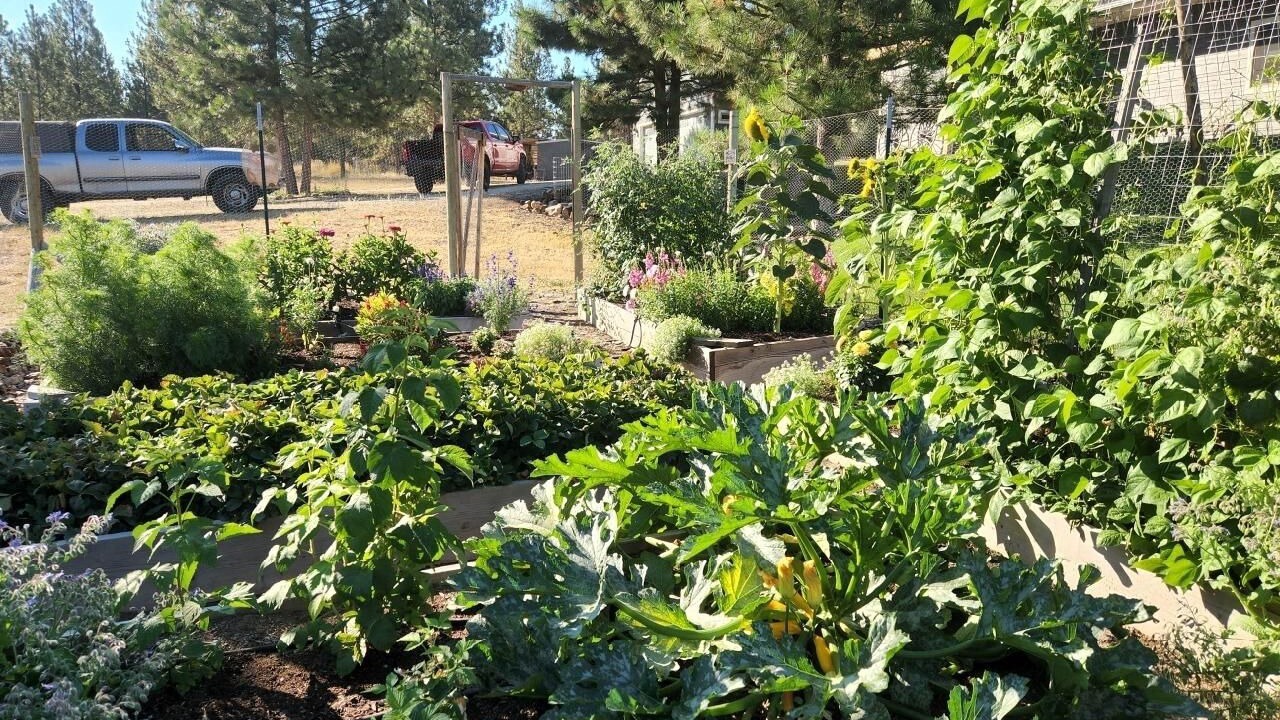 Photo of Outdoor in Stevensville