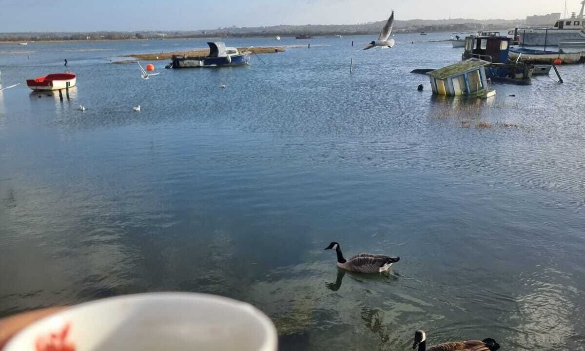 Photo of Others in Poole