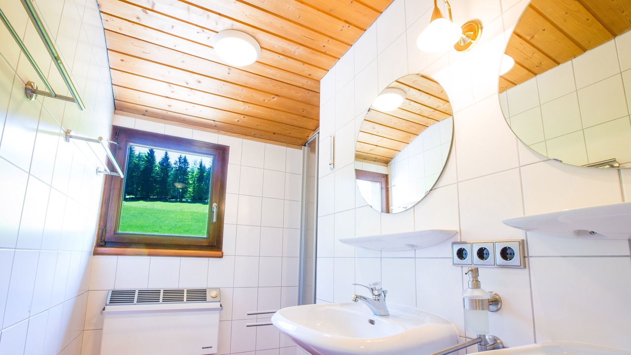 Photo of Bathroom in Todtnauberg
