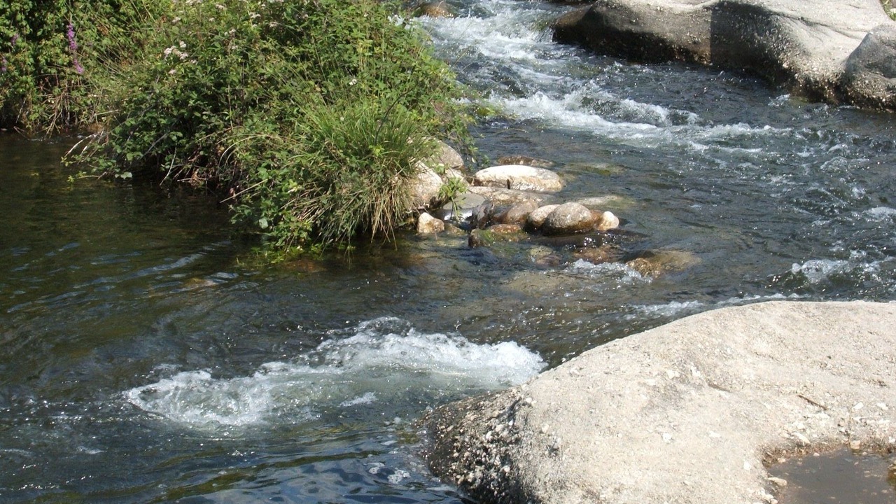 Photo of Others in Gravieres