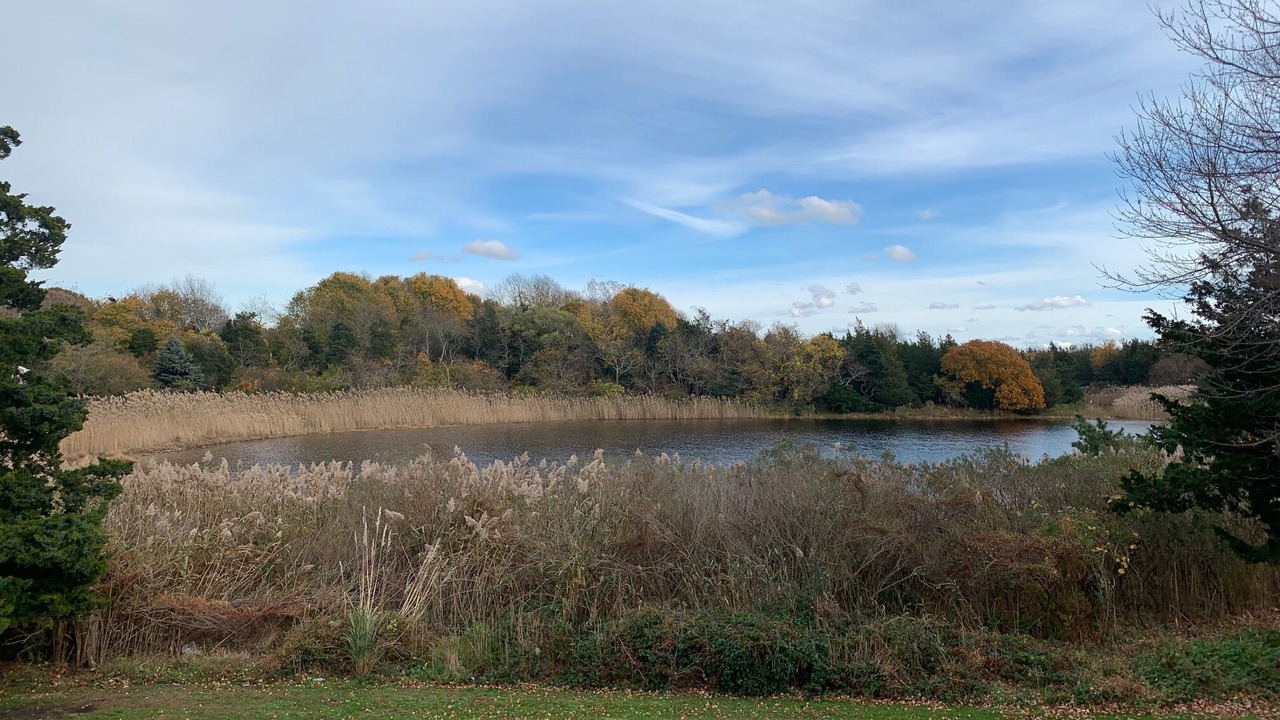 Photo of Outdoor in Southold