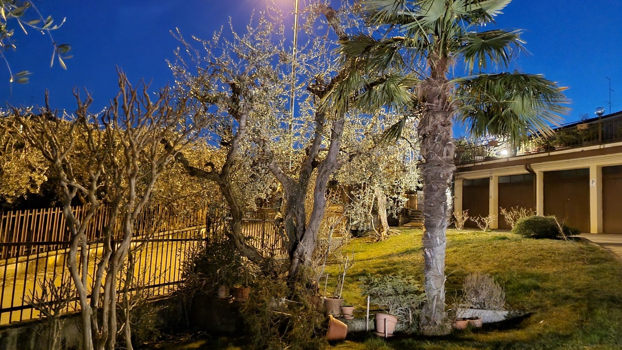 Photo of Outdoor in Calmasino
