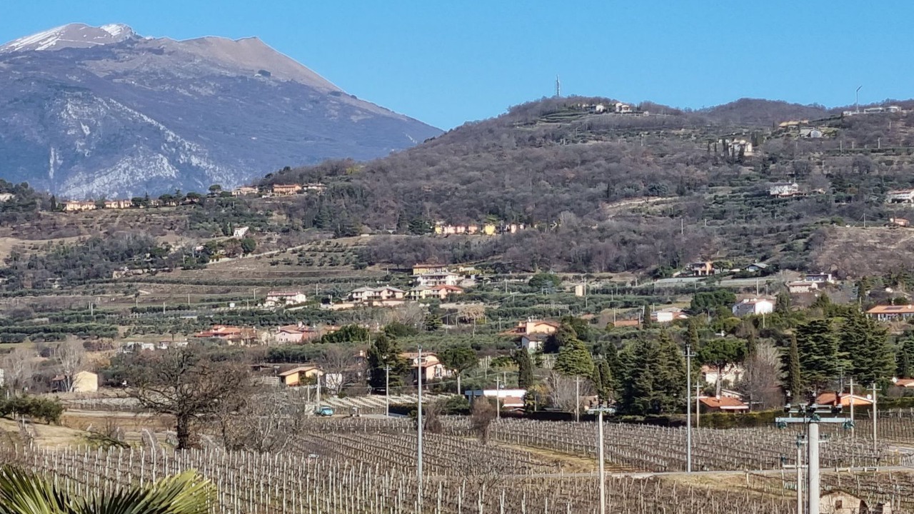 Photo of Others in Calmasino