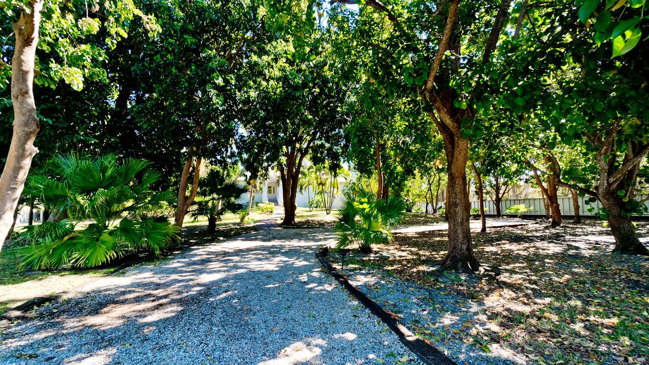 Photo of Outdoor in Palma Sola