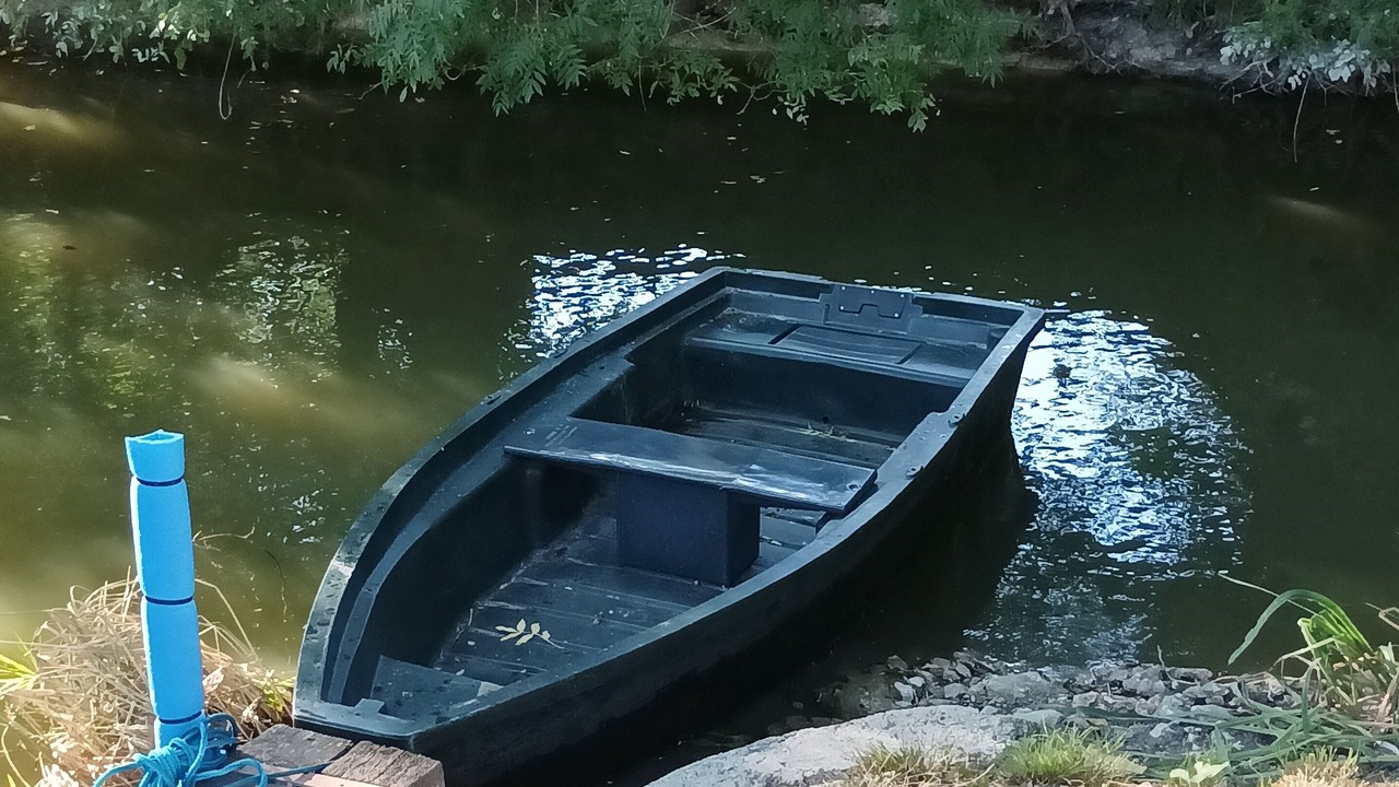 Photo of Others in Saint-Hilaire-la-Palud