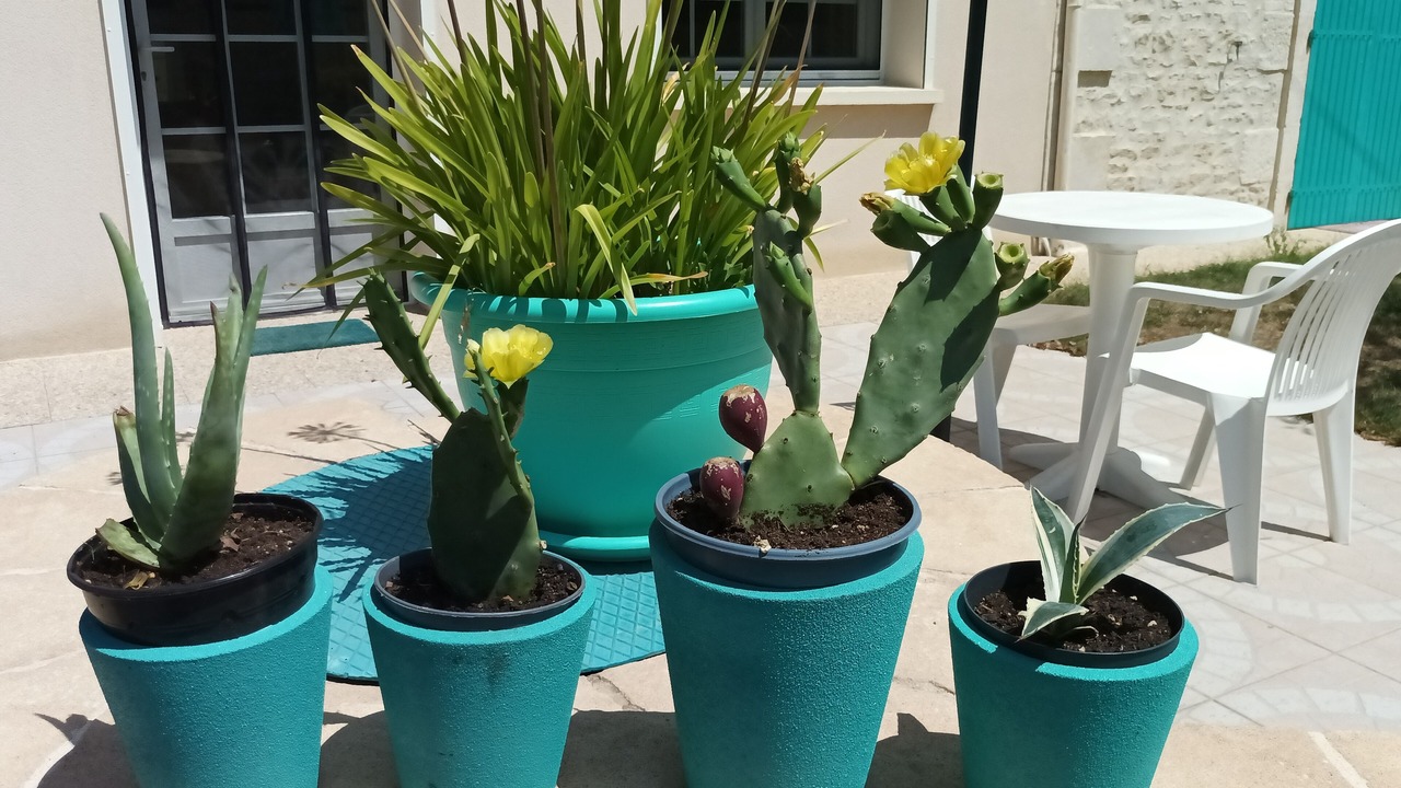 Photo of Patio Balcony in Saint-Hilaire-la-Palud