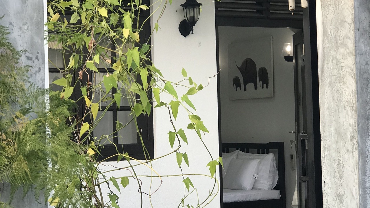 Photo of Outdoor in Patuwatha