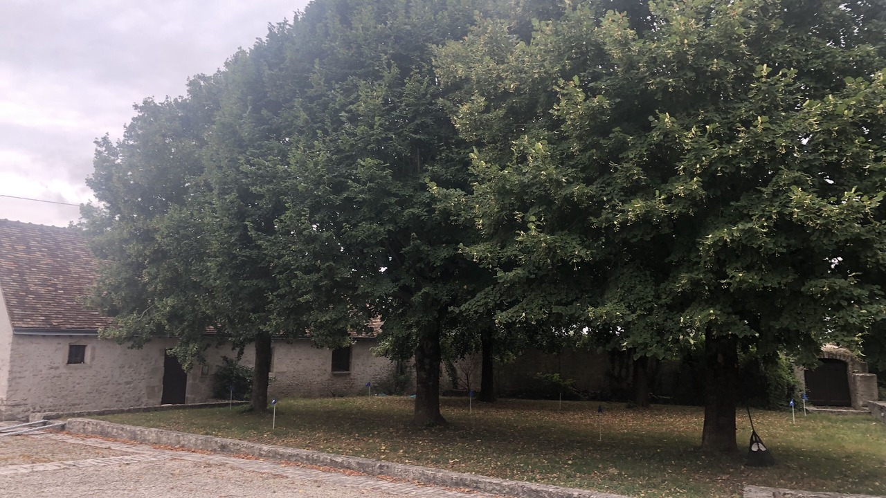 Photo of Outdoor in Concriers