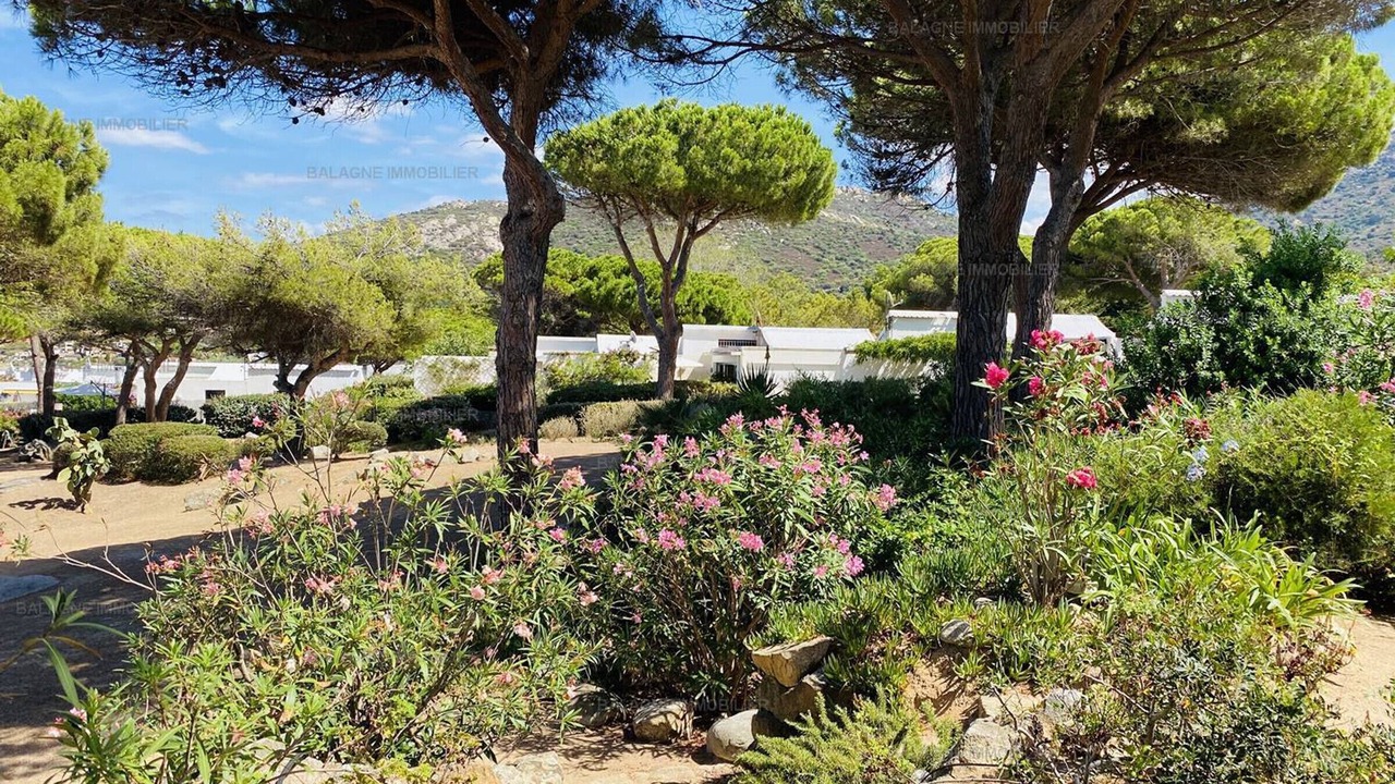 Photo of Outdoor in Marine de Saint Ambroggio
