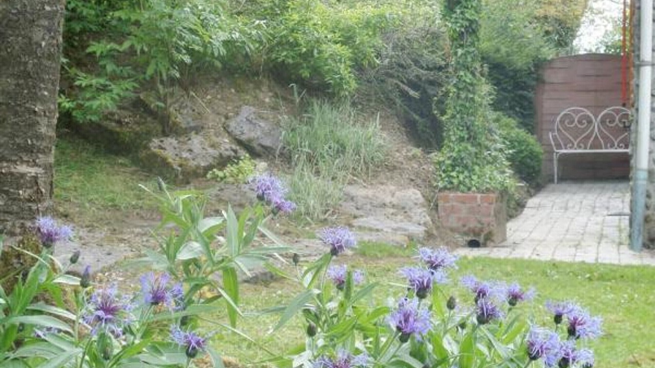 Photo of Outdoor in Willies