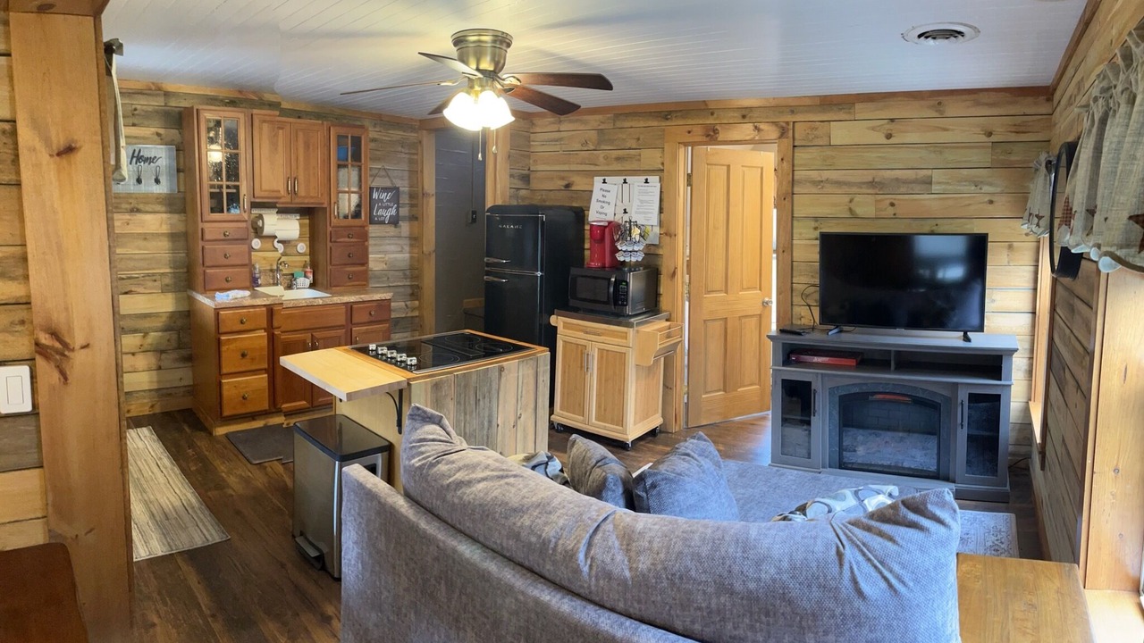 Photo of Livingroom in Swain