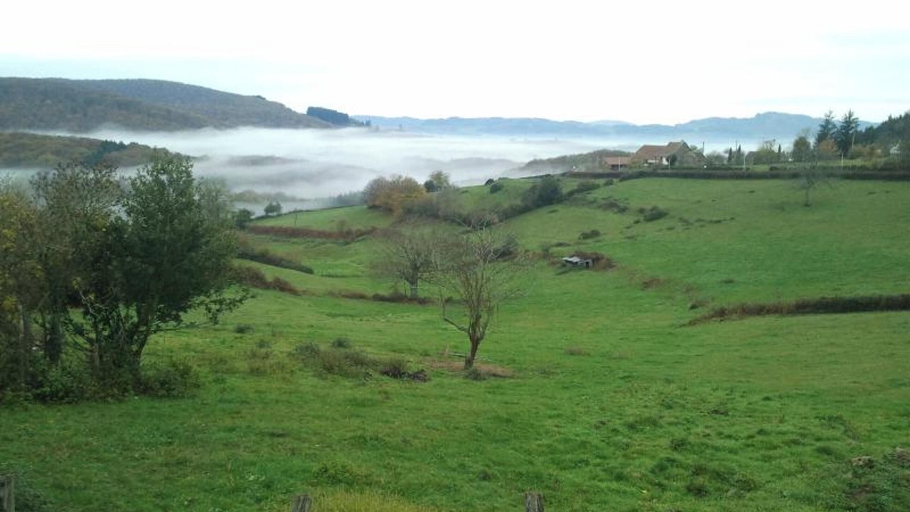 Photo of Others in Donzy-le-National