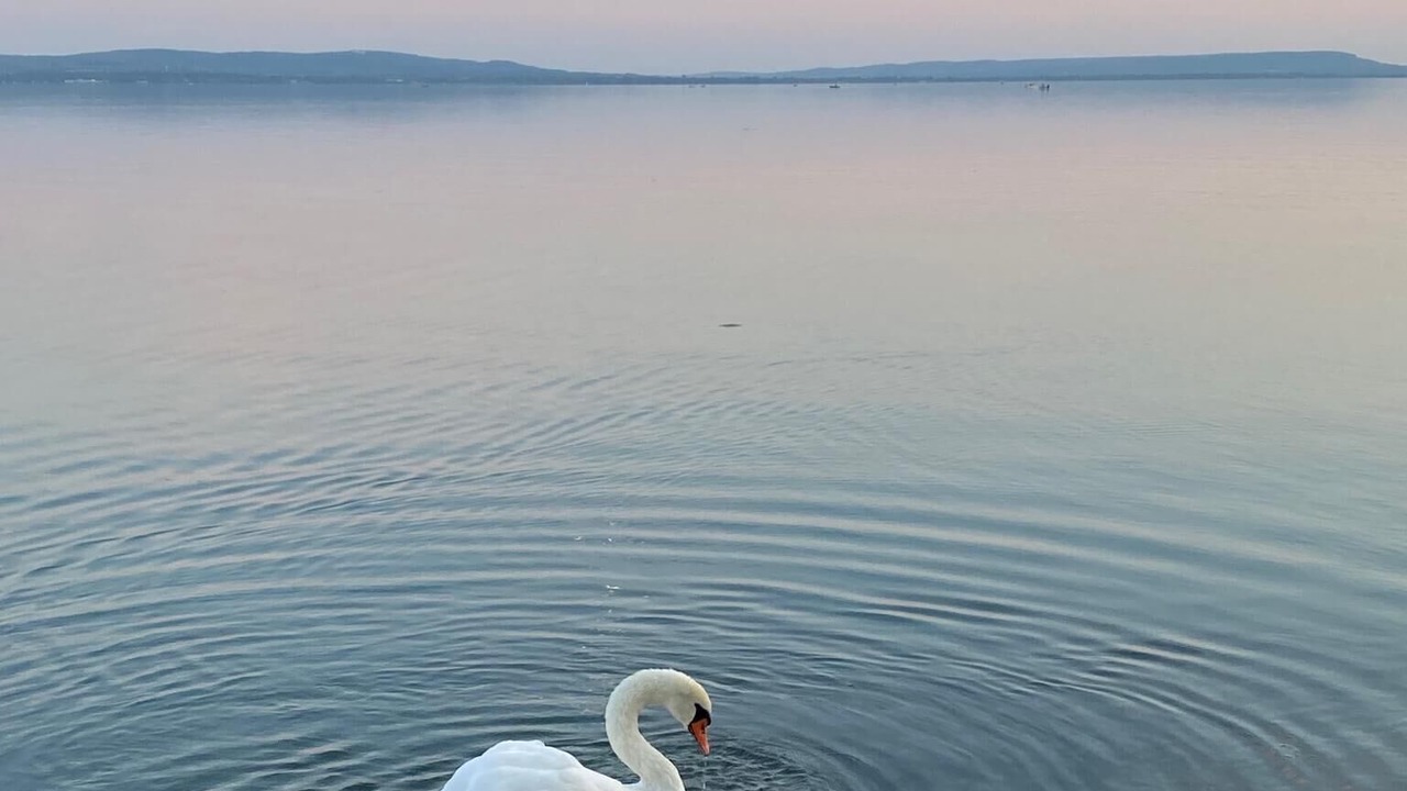 Photo of Outdoor in Balatonakali