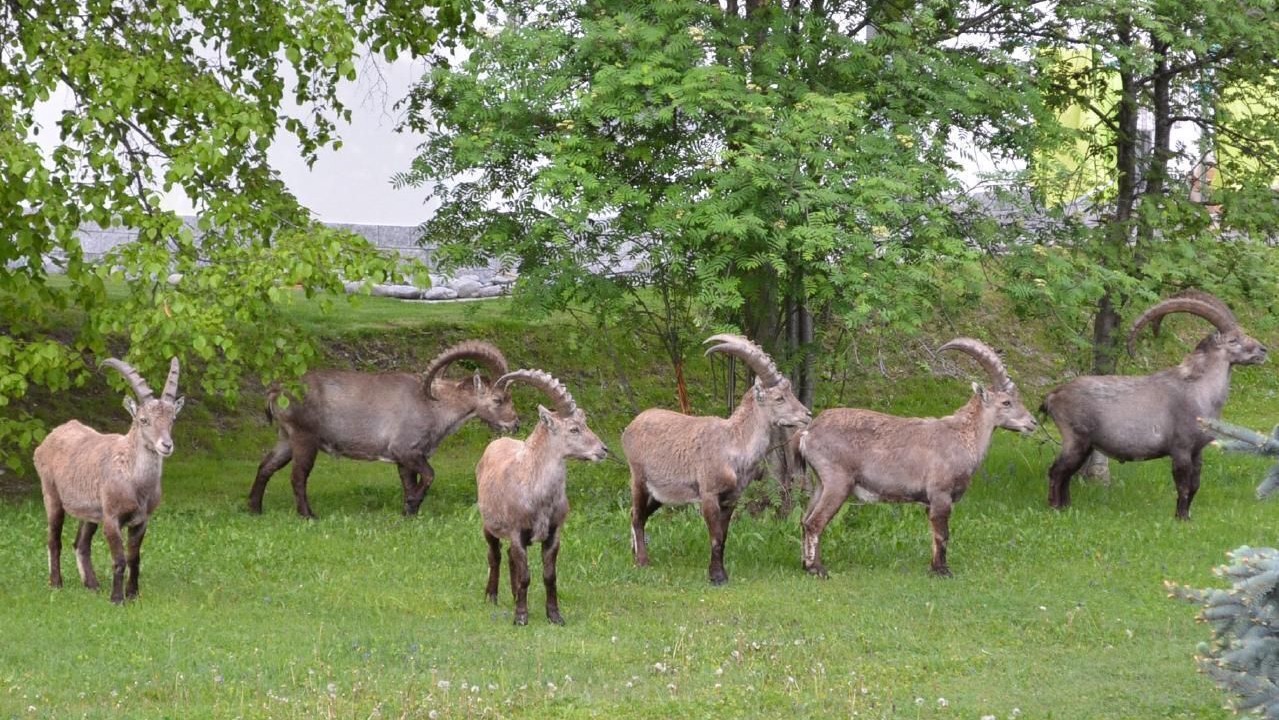 Photo of Others in Graechen