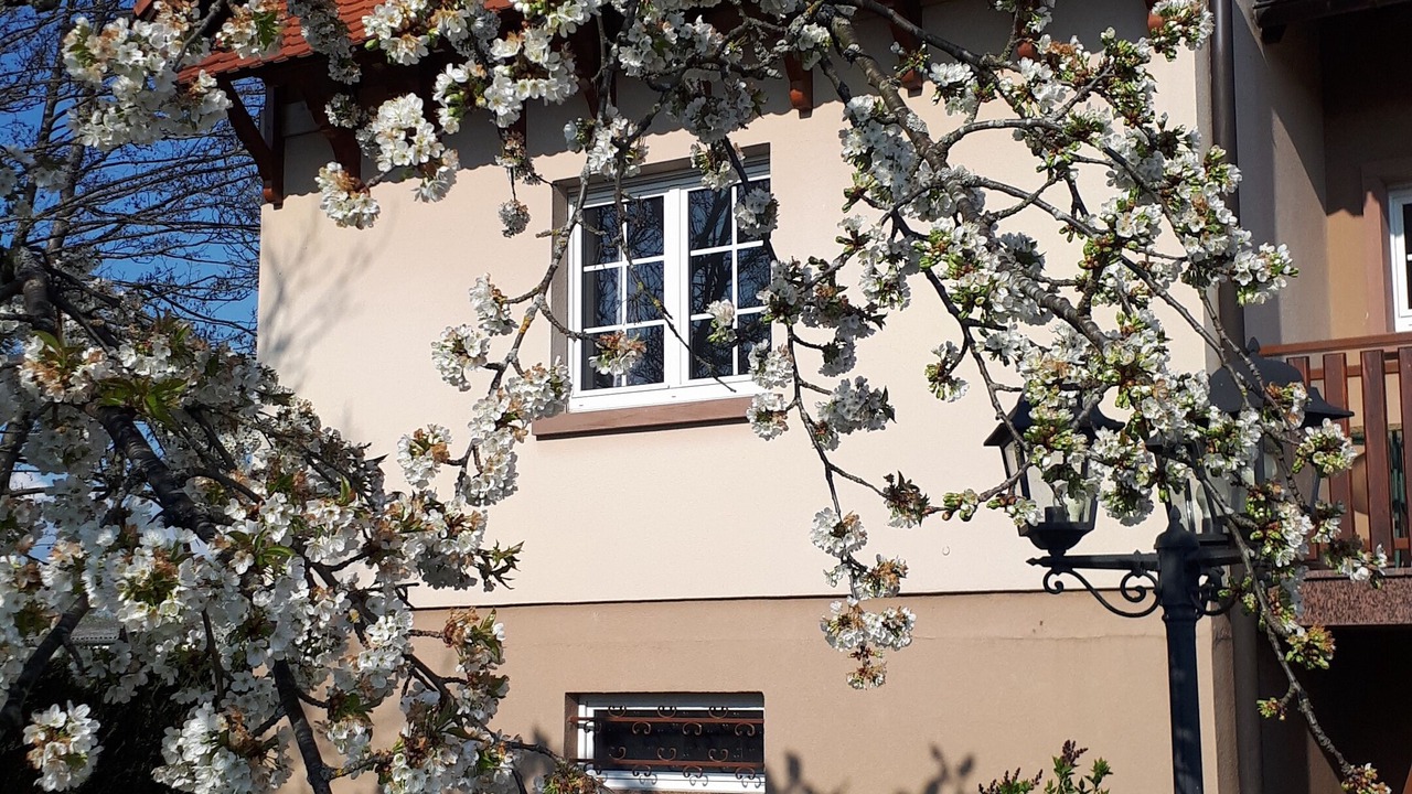 Photo of Outdoor in Monswiller