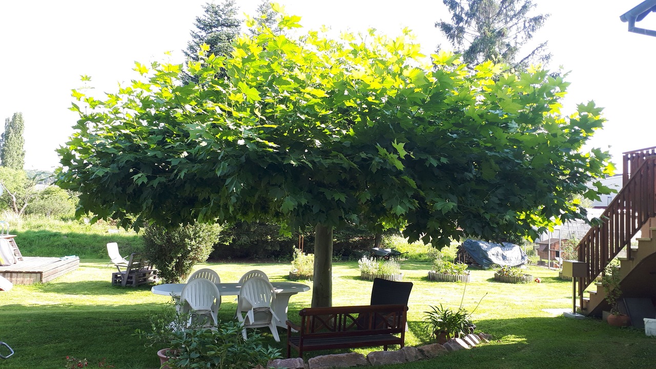 Photo of Outdoor in Monswiller