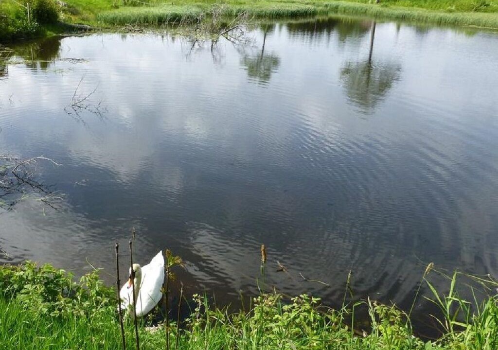 Photo of Outdoor in Breitnau