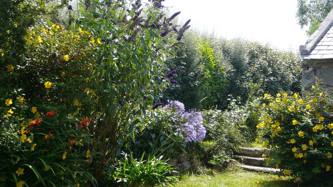 Photo of Outdoor in Crozon