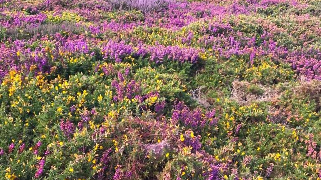 Photo of Outdoor in Crozon