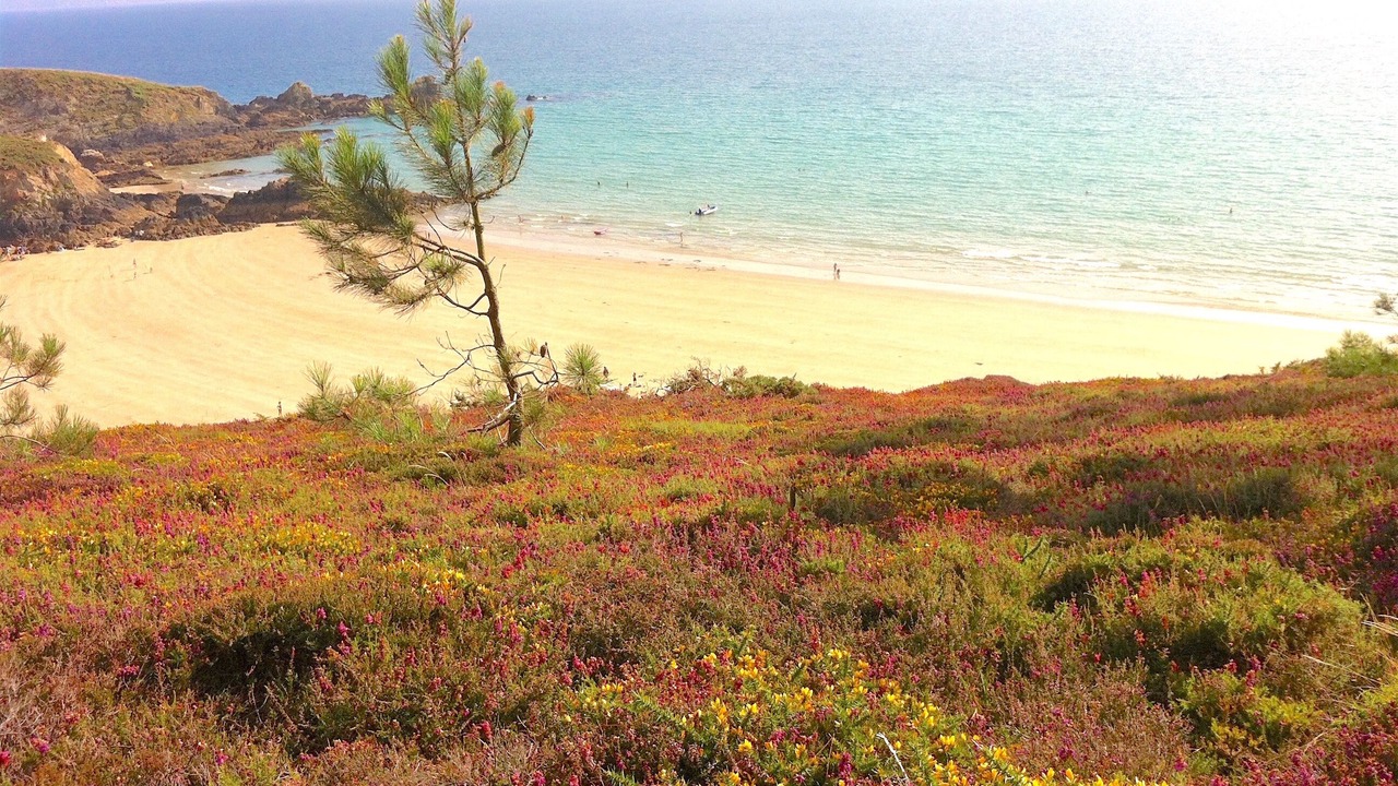 Photo of Others in Crozon