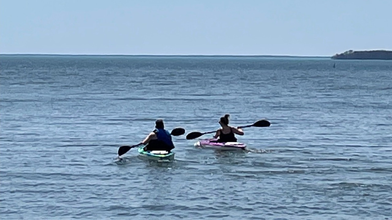 Photo of Others in Brock