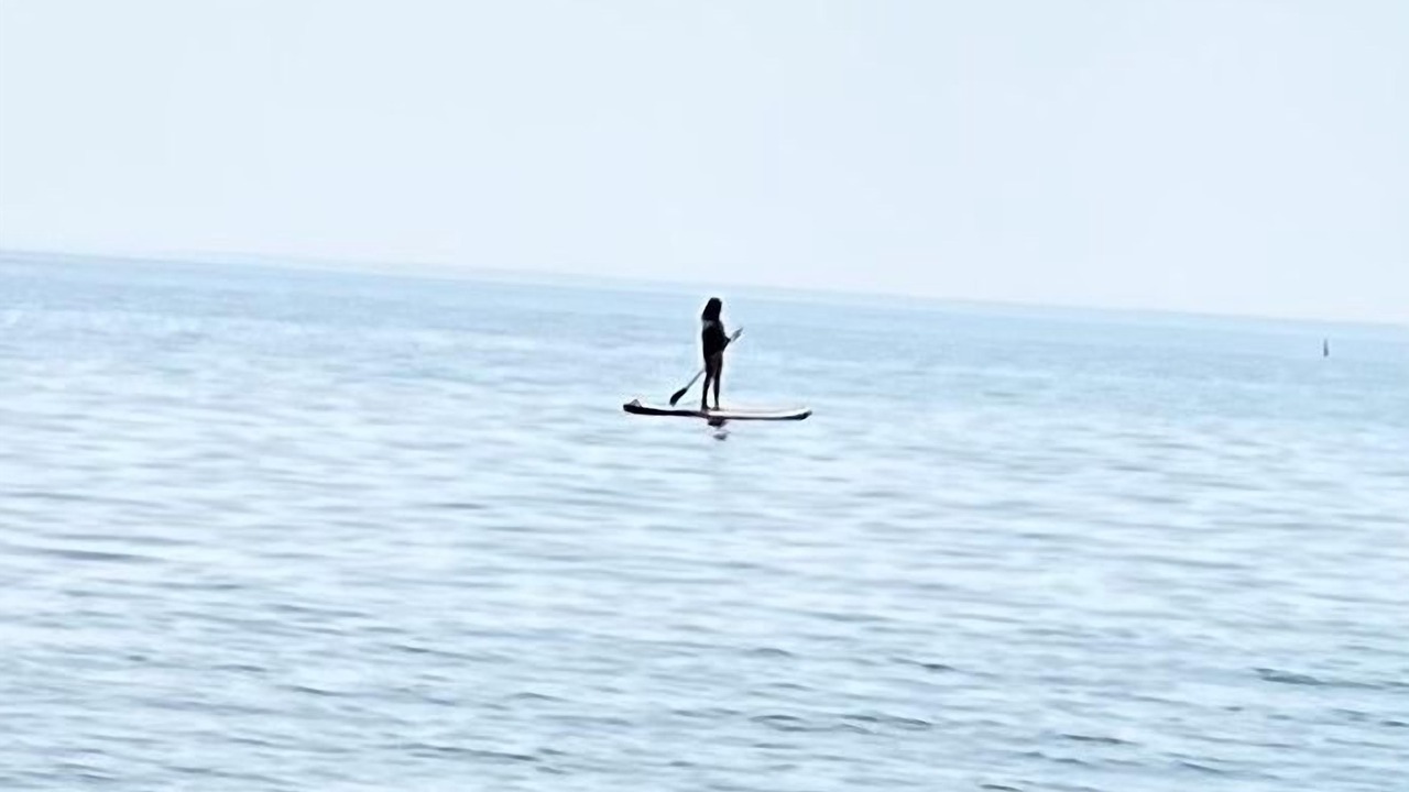 Photo of Others in Brock