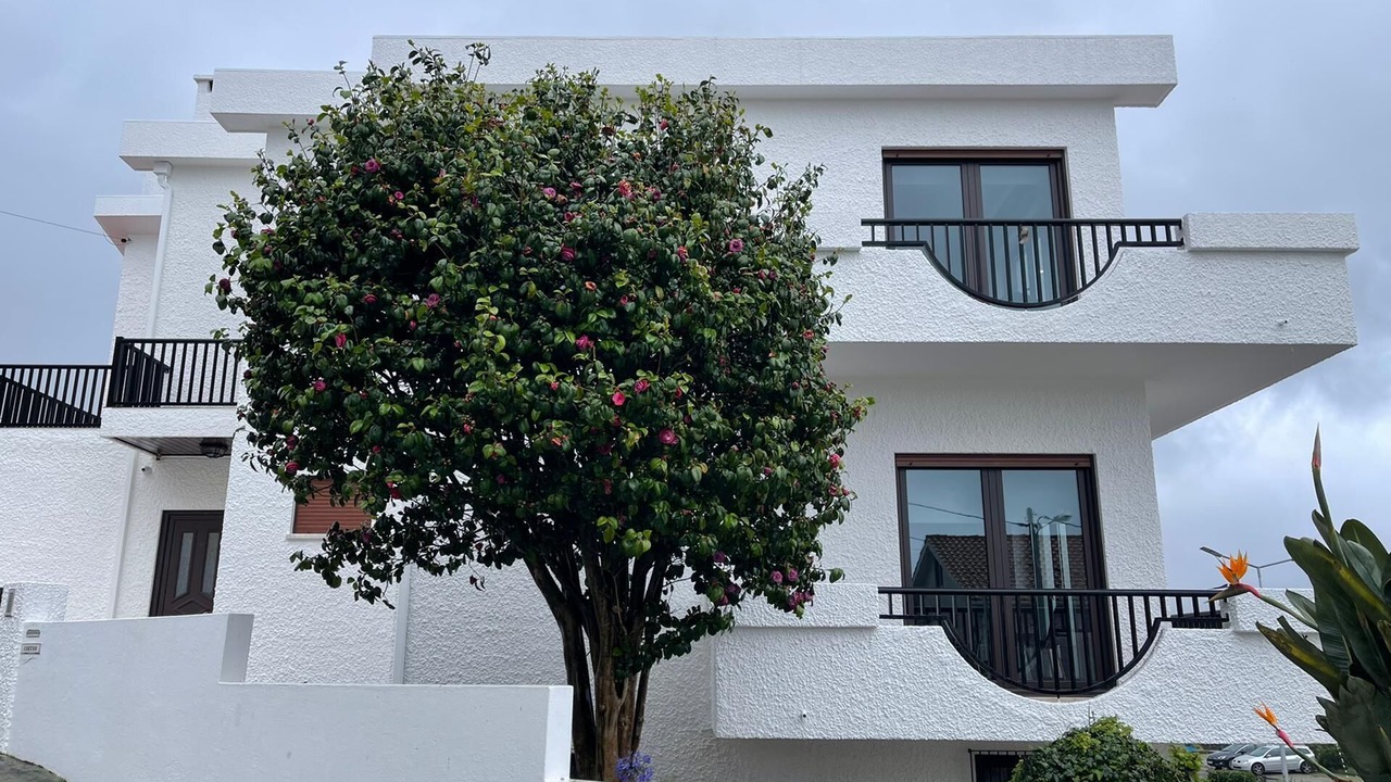 Photo of Outdoor in Vila Praia de Ancora