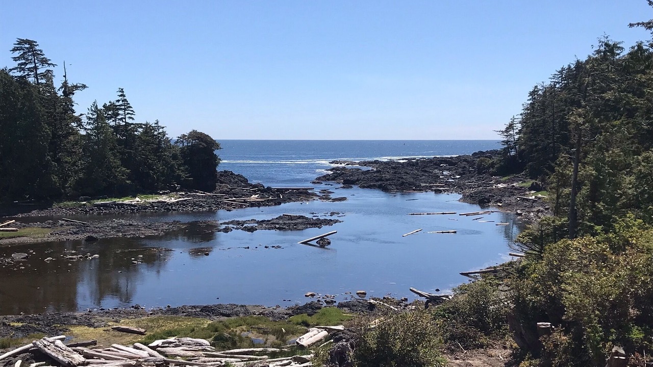 Photo of Others in Ucluelet