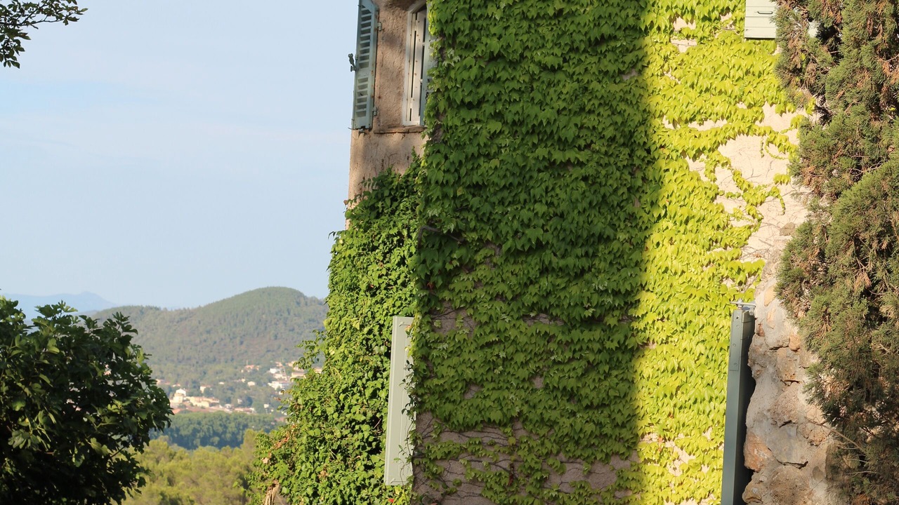 Photo of Outdoor in Vidauban