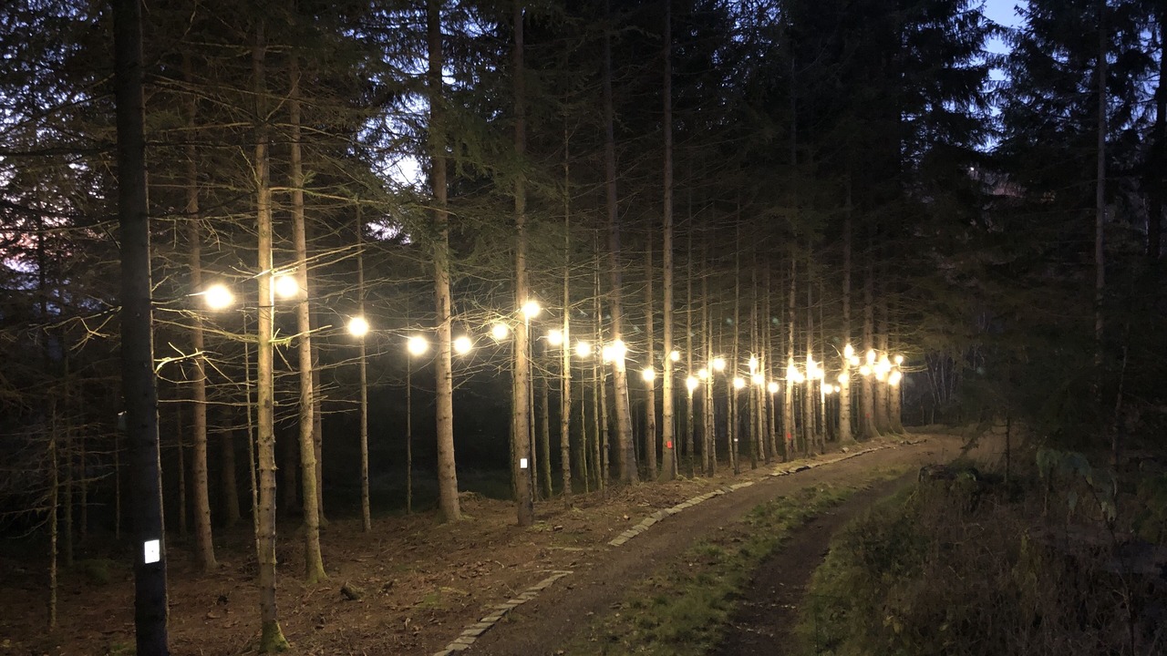 Photo of Outdoor in Belfahy